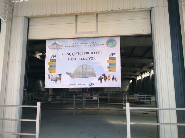 “GENÇ ÇİFTÇİ PROJELERİ DESTEKLENİYOR” KAPSAMINDA BÜYÜKBAŞ HAYVAN DAĞITIM TÖRENİ ATB CANLI HAYVAN BORSAMIZDA YAPILDI